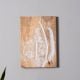 Nature Inspired Wall Plate Set of 8